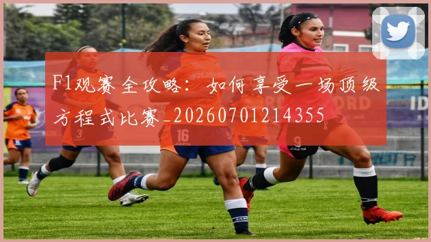 F1观赛全攻略:如何享受一场顶级方程式比赛_20260701214355