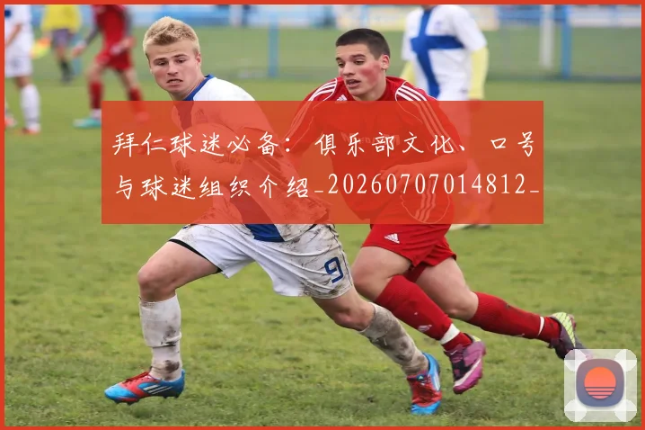 拜仁球迷必备：俱乐部文化、口号与球迷组织介绍_20260707014812_20260723182913